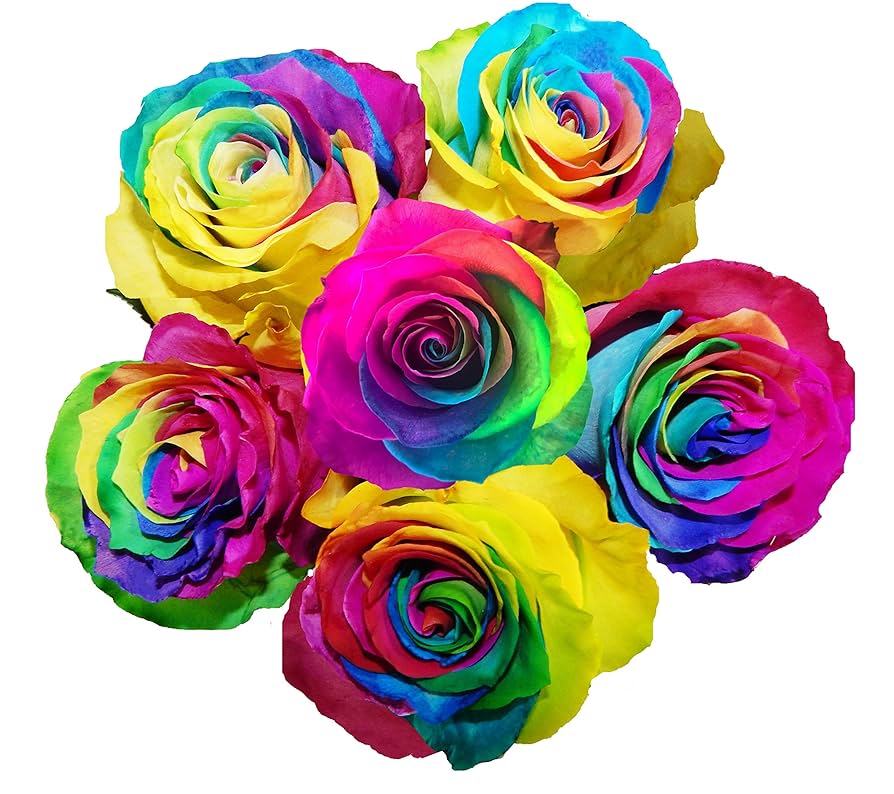 Amazon.com: 200 Farm Direct Real Fresh Rainbow Roses | Fresh